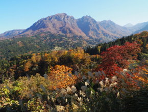 ç»åã«å«ã¾ãã¦ããå¯è½æ§ããããã®:ç©ºãå±±ãæ¤ç©ãæ¨ãå±å¤ãèªç¶